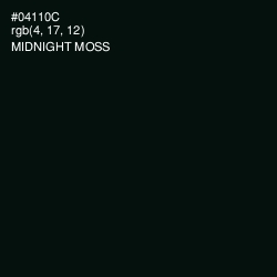 #04110C - Midnight Moss Color Image
